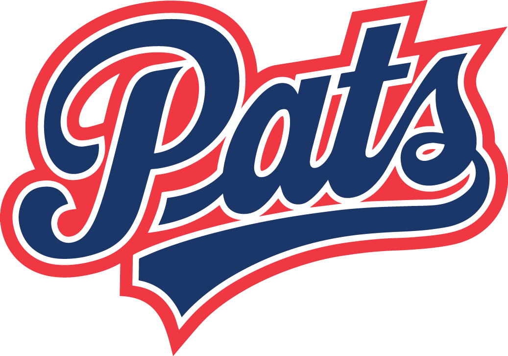 Regina Pats 2014 15-Pres Primary Logo vinyl decal